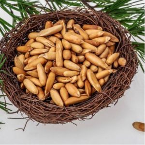 Pine Nuts – 0.5 Kg –